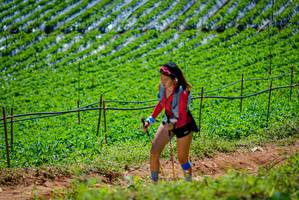 BIB: 
                            <button type="button" onclick="openModal(19164676)" class="btn btn-primary btn-sm float-right btn-popup" data-toggle="modal" data-target=".modal-high-quality">
                        <i class="fas fa-shopping-cart"></i> Add to Cart
                    </button>
                                            <button type="button" onclick="isThisMe(19164676, true)" class="btn btn-success btn-sm float-right btn-popup btn-isme hidden" data-toggle="tooltip" data-placement="bottom" title="นี่คือรูปของคุณใช่ไหม คลิกที่นี่เพื่อเอาเข้าอัลบั้ม">
                        <i class="fas fa-plus"></i> Add to album
                    </button>
                    <button type="button" onclick="isThisMe(19164676, false)" class="btn btn-warning btn-sm float-right btn-popup btn-isnotme hidden">
                        <i class="fas fa-ban"></i> Remove from album
                    </button>